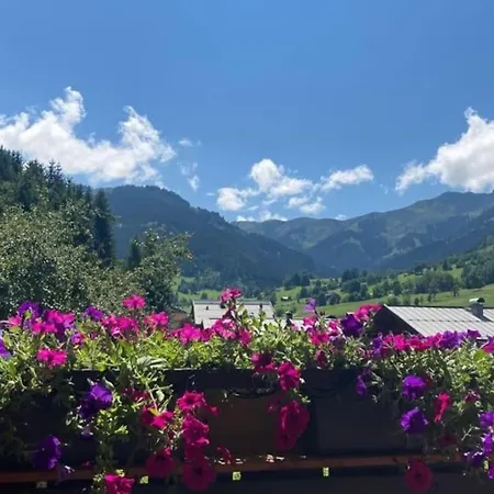 Mountain View Appartement Maria Alm am Steinernen Meer