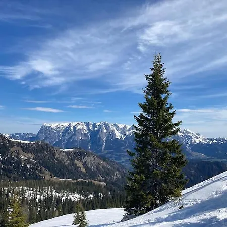 Apartment Mountain View *