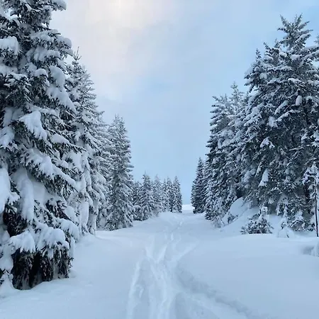 Apartmán Mountain View *