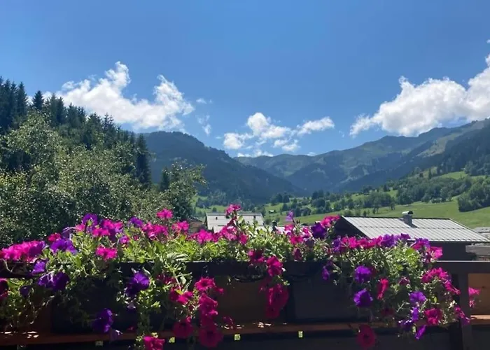 Mountain View Appartement Maria Alm am Steinernen Meer